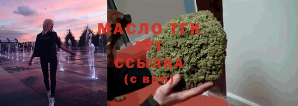 мдпв Гусь-Хрустальный