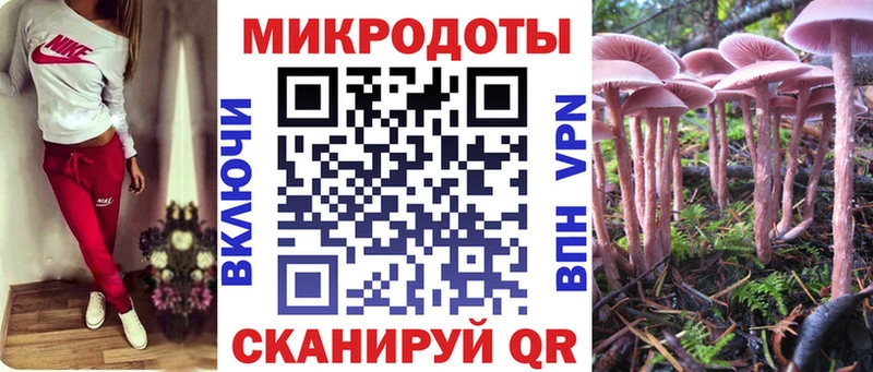 Псилоцибиновые грибы Psilocybe  Оханск 